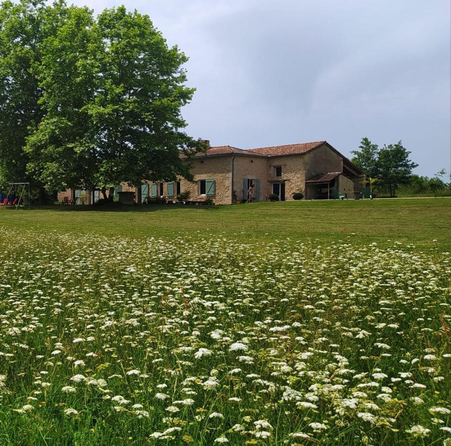 Le Haut Sechoir Buzet-sur-Baise Buitenkant foto